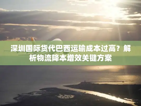 深圳国际货代巴西运输成本过高？解析物流降本增效关键方案