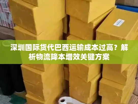 深圳国际货代巴西运输成本过高？解析物流降本增效关键方案