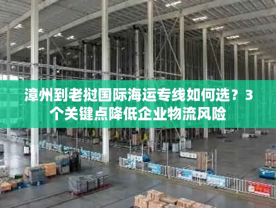 漳州到老挝国际海运专线如何选？3个关键点降低企业物流风险