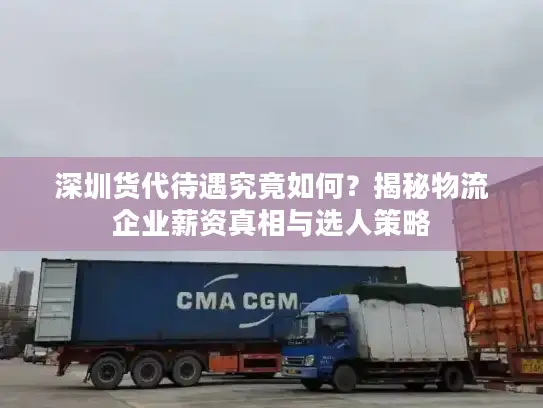 深圳货代待遇究竟如何？揭秘物流企业薪资真相与选人策略