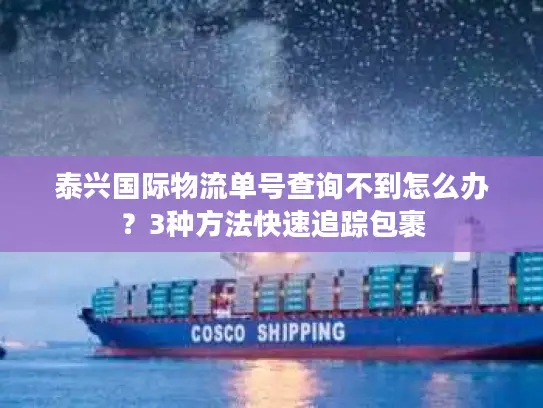 泰兴国际物流单号查询不到怎么办？3种方法快速追踪包裹