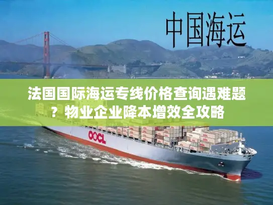 法国国际海运专线价格查询遇难题？物业企业降本增效全攻略