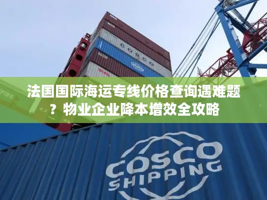 法国国际海运专线价格查询遇难题？物业企业降本增效全攻略