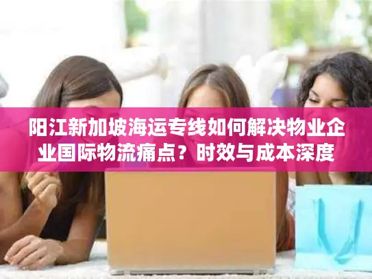 阳江新加坡海运专线如何解决物业企业国际物流痛点？时效与成本深度解析