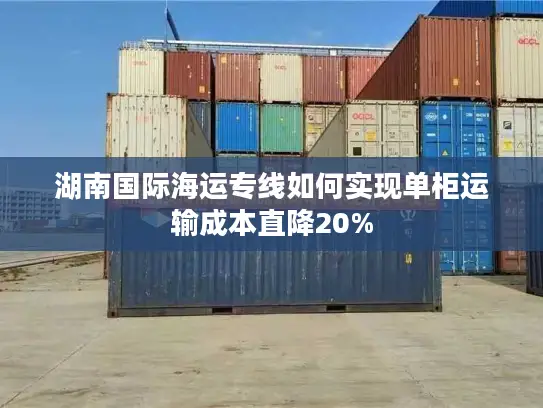 湖南国际海运专线如何实现单柜运输成本直降20%