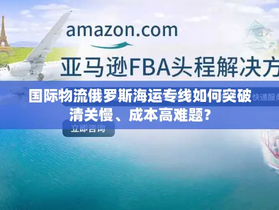 国际物流俄罗斯海运专线如何突破清关慢、成本高难题？