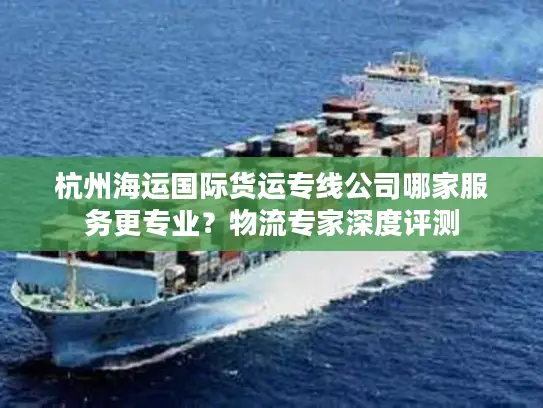 杭州海运国际货运专线公司哪家服务更专业？物流专家深度评测