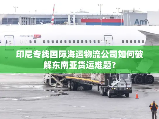 印尼专线国际海运物流公司如何破解东南亚货运难题？
