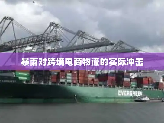 暴雨对跨境电商物流的实际冲击