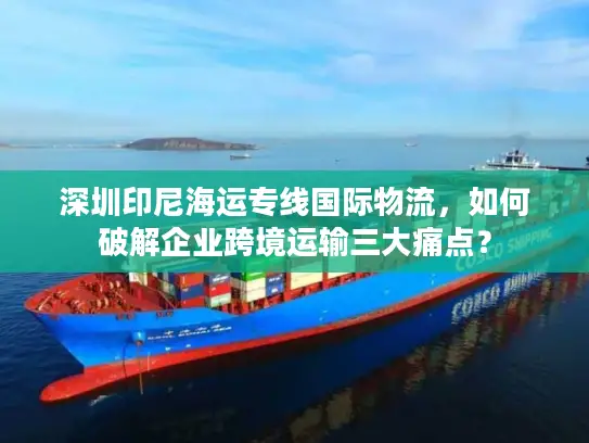 深圳印尼海运专线国际物流，如何破解企业跨境运输三大痛点？