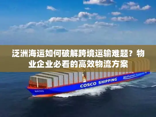 泛洲海运如何破解跨境运输难题？物业企业必看的高效物流方案