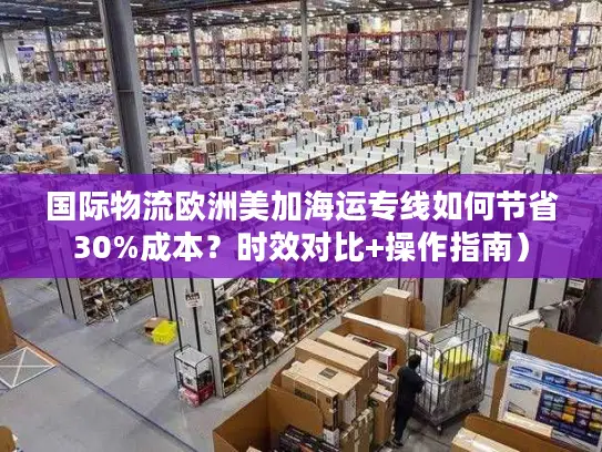 国际物流欧洲美加海运专线如何节省30%成本？时效对比+操作指南）