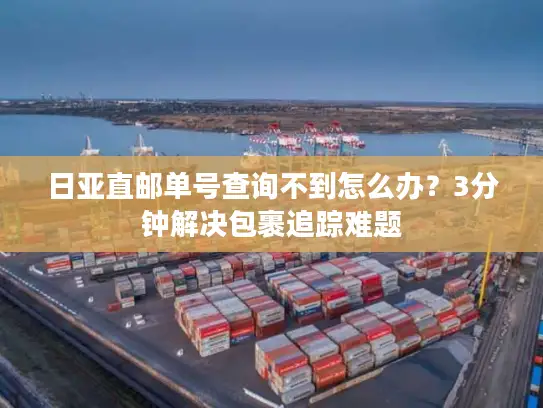 日亚直邮单号查询不到怎么办？3分钟解决包裹追踪难题