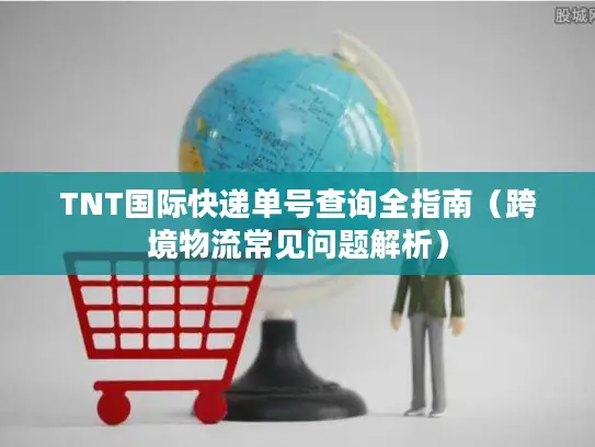 TNT国际快递单号查询全指南（跨境物流常见问题解析）