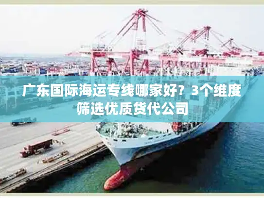 广东国际海运专线哪家好？3个维度筛选优质货代公司
