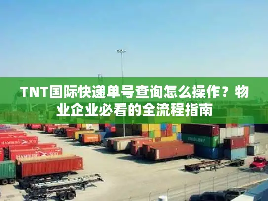 TNT国际快递单号查询怎么操作？物业企业必看的全流程指南
