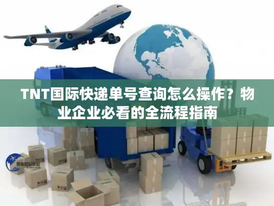 TNT国际快递单号查询怎么操作？物业企业必看的全流程指南