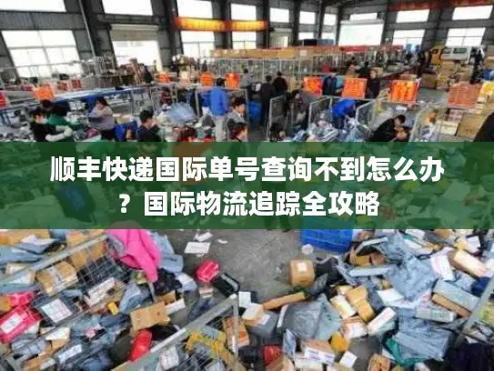 顺丰快递国际单号查询不到怎么办？国际物流追踪全攻略