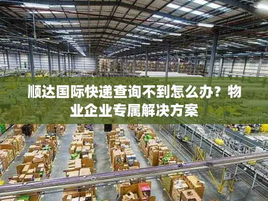 顺达国际快递查询不到怎么办？物业企业专属解决方案
