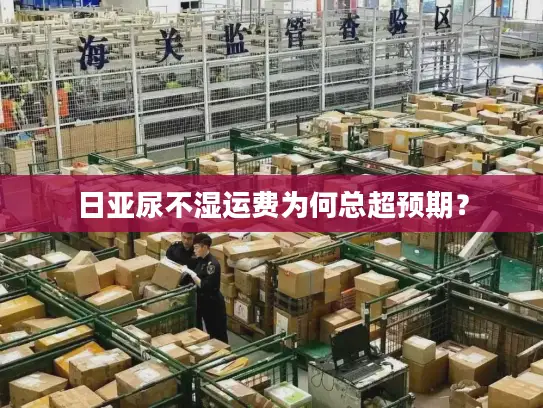 日亚尿不湿运费为何总超预期？