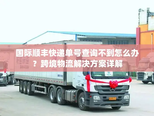 国际顺丰快递单号查询不到怎么办？跨境物流解决方案详解