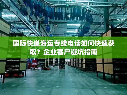 国际快递海运专线电话如何快速获取？企业客户避坑指南