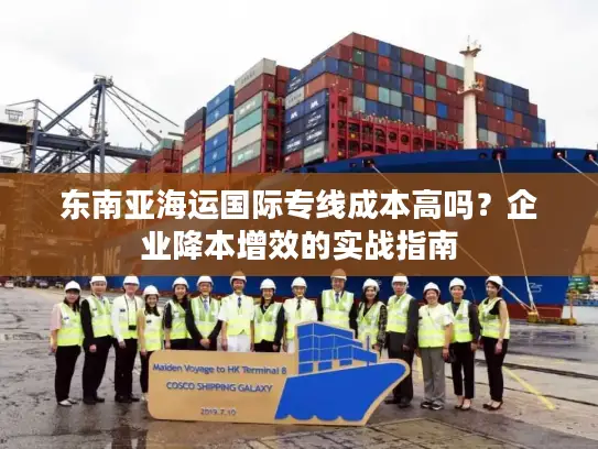 东南亚海运国际专线成本高吗？企业降本增效的实战指南