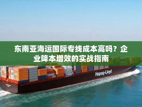 东南亚海运国际专线成本高吗？企业降本增效的实战指南