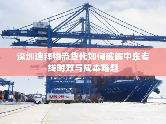 深圳迪拜物流货代如何破解中东专线时效与成本难题