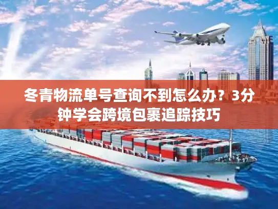 冬青物流单号查询不到怎么办？3分钟学会跨境包裹追踪技巧