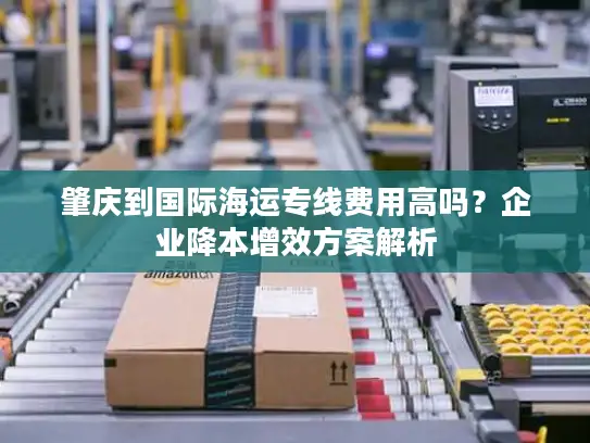 肇庆到国际海运专线费用高吗？企业降本增效方案解析