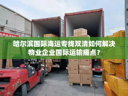 哈尔滨国际海运专线双清如何解决物业企业国际运输痛点？
