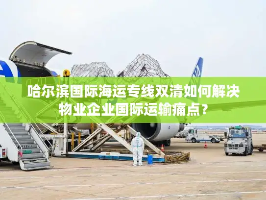 哈尔滨国际海运专线双清如何解决物业企业国际运输痛点？