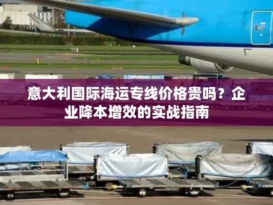 意大利国际海运专线价格贵吗？企业降本增效的实战指南