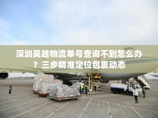 深圳吴越物流单号查询不到怎么办？三步精准定位包裹动态
