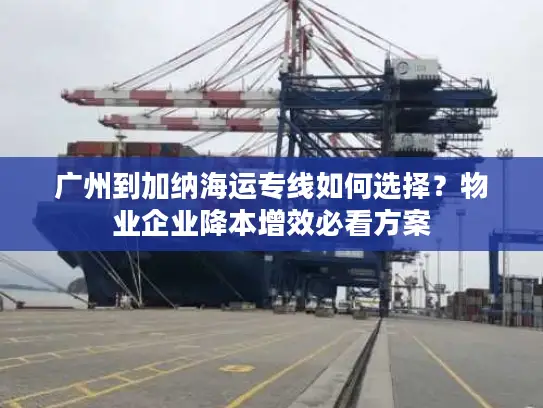 广州到加纳海运专线如何选择？物业企业降本增效必看方案