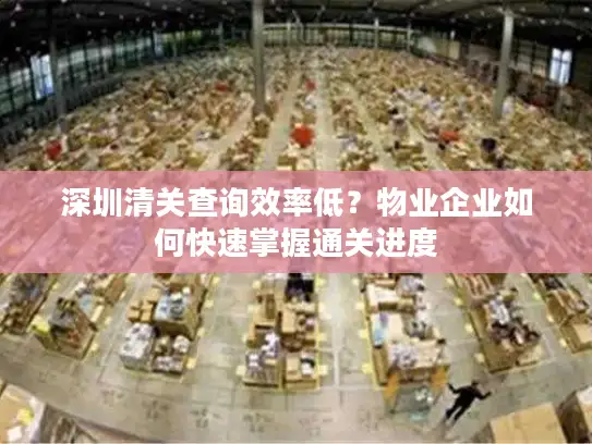 深圳清关查询效率低？物业企业如何快速掌握通关进度