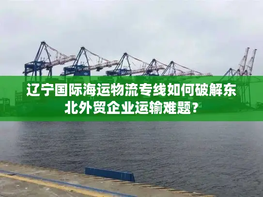 辽宁国际海运物流专线如何破解东北外贸企业运输难题？