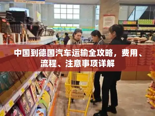 中国到德国汽车运输全攻略，费用、流程、注意事项详解