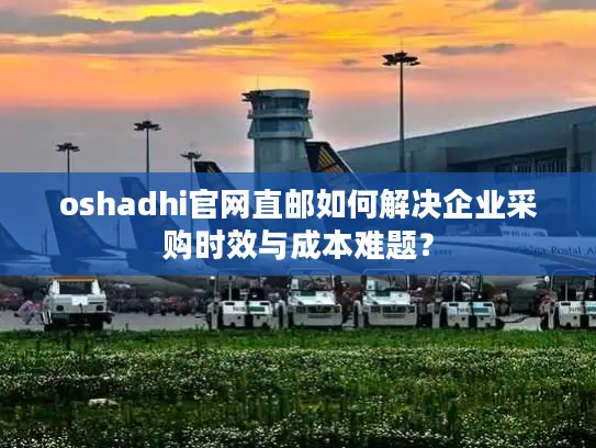 oshadhi官网直邮如何解决企业采购时效与成本难题？