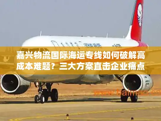 嘉兴物流国际海运专线如何破解高成本难题？三大方案直击企业痛点