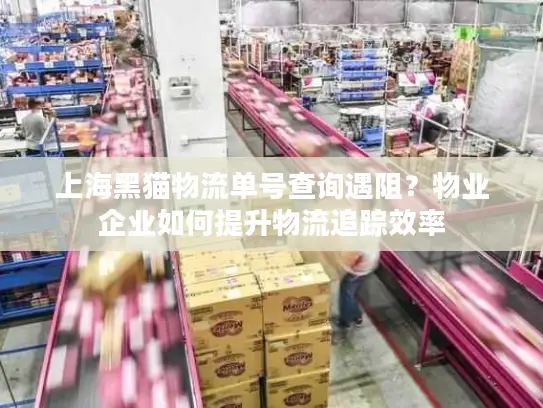 上海黑猫物流单号查询遇阻？物业企业如何提升物流追踪效率