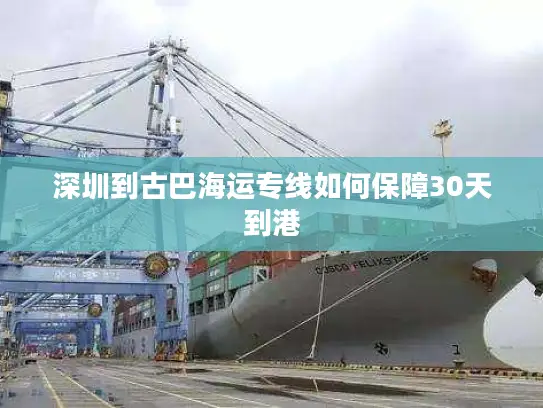 深圳到古巴海运专线如何保障30天到港