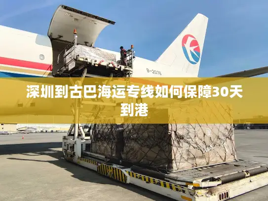 深圳到古巴海运专线如何保障30天到港