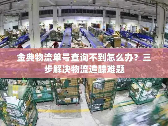 金典物流单号查询不到怎么办？三步解决物流追踪难题