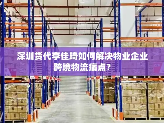 深圳货代李佳琦如何解决物业企业跨境物流痛点？