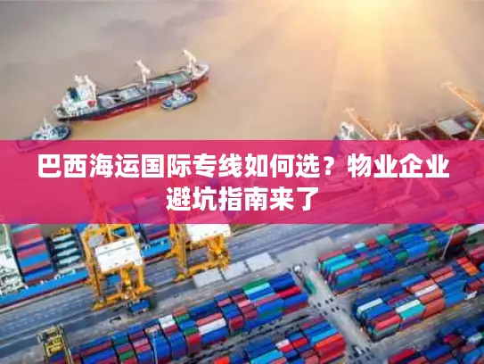巴西海运国际专线如何选？物业企业避坑指南来了