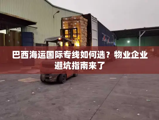 巴西海运国际专线如何选？物业企业避坑指南来了