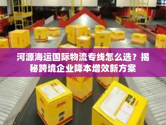 河源海运国际物流专线怎么选？揭秘跨境企业降本增效新方案