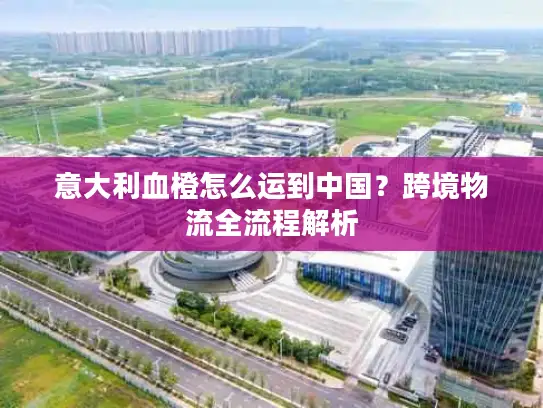 意大利血橙怎么运到中国？跨境物流全流程解析